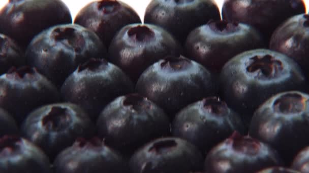 Many fresh blueberrieы — Stock Video