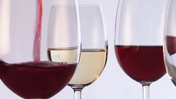 Despejar vinho tinto e branco — Vídeo de Stock