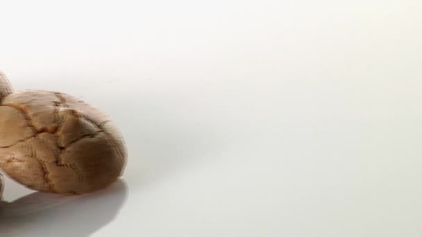 Macarrones de almendras sobre una mesa — Vídeo de stock