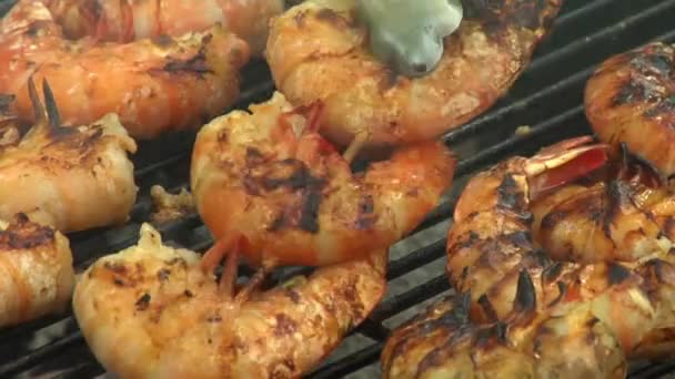 Brochettes de crevettes sur un barbecue — Video