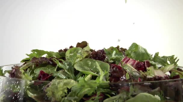 Beregening salade verlaat met kaas — Stockvideo