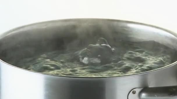 Вода кипить на сковороді — стокове відео