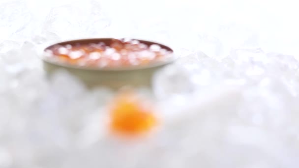 Caviar de salmón sobre hielo — Vídeos de Stock