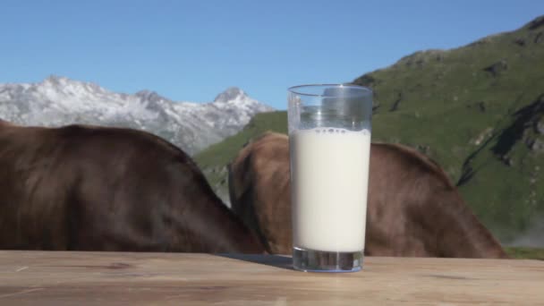 Een glas melk en koeien — Stockvideo