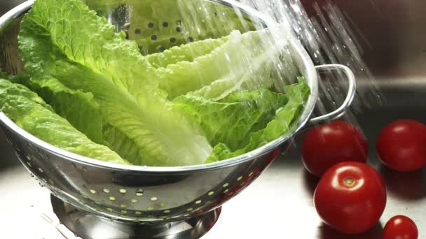 Washing romaine lettuce — Stock Video