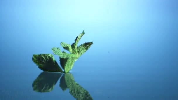 Folhas de hortelã caindo na água — Vídeo de Stock
