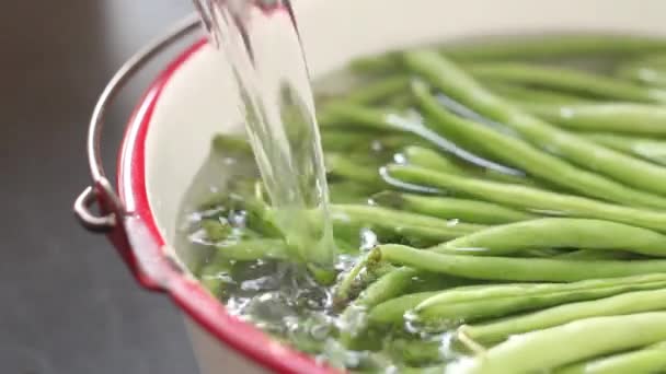 Agua que se vierte sobre judías verdes — Vídeo de stock