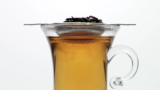 Té negro en un vaso de té — Vídeo de stock