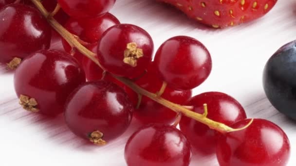 Ассортимент свежих ягод — стоковое видео