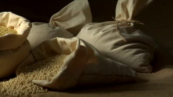 Israeli couscous in sack — Stock Video