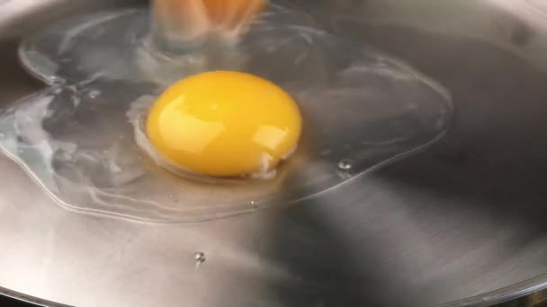 Яйца на сковороде — стоковое видео