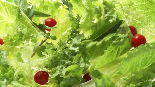 Ensalada mixta de hojas y tomates — Vídeos de Stock