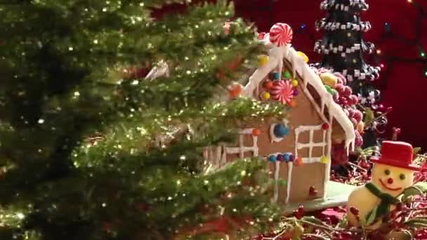 Pepparkakshuset bakom granen — Stockvideo