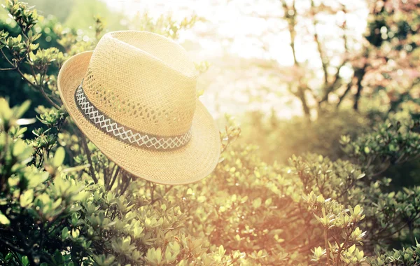 stock image Old straw hat against attached on a plant in garden