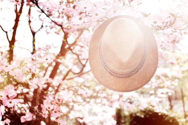 Vieux chapeau de paille contre attaché sur une plante dans le jardin — Photo