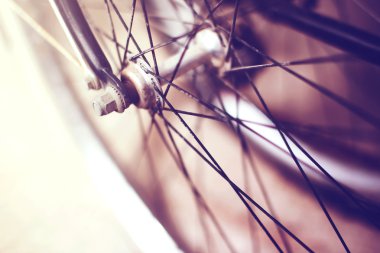 sektörlerine belirli mevsimlik