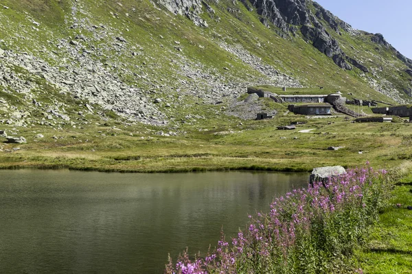 Beautiful mountain background in switzerland with typical grass and lake during sunny day on summer period — Stock Photo, Image