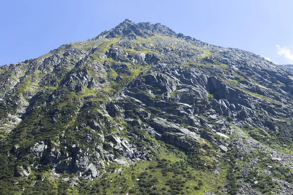 Yaz sonu dönemde çim ve mavi gökyüzü ile İsviçre güzel yeşil dağ — Stok fotoğraf