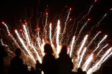 cogoleto İtalya geceleri güzel havai fişek