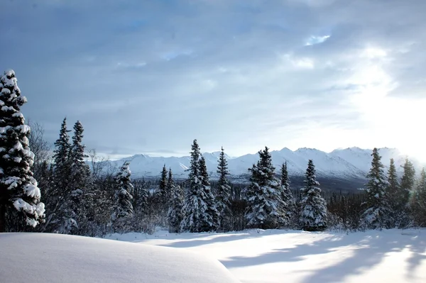 Alaska vinterlandskap Royaltyfria Stockbilder