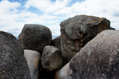 Kayalar ve penguenler