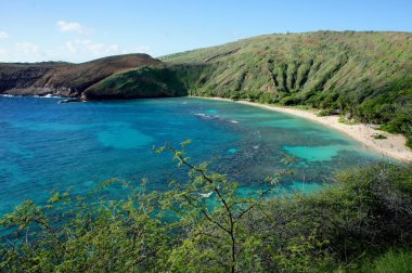 Oahu sayısı