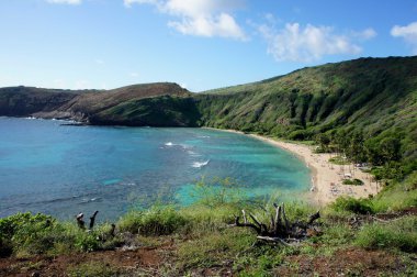 Oahu sayısı