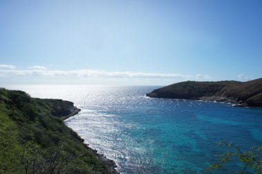 Oahu sayısı