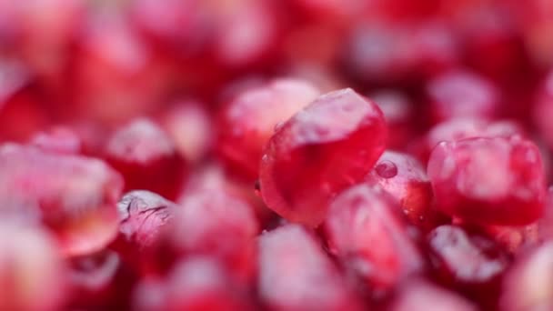 Гранат ягоди Закри — стокове відео