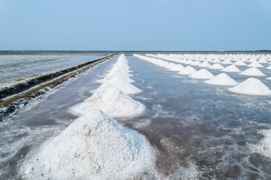 Saline Tayland