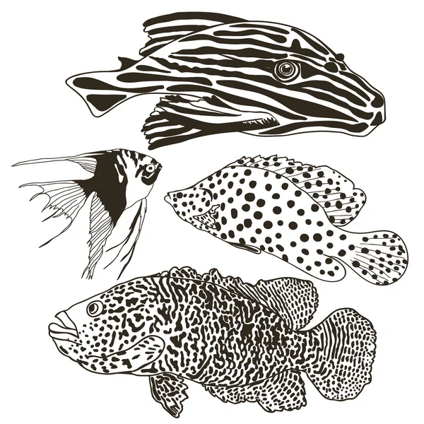 Set di pesci lineari — Vettoriale Stock