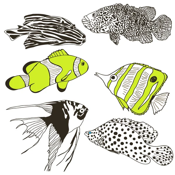 Set di pesci lineari — Vettoriale Stock
