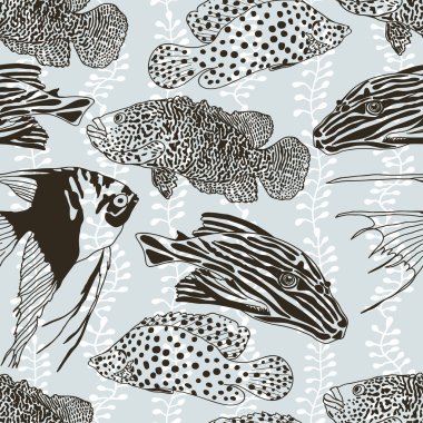 Balık sorunsuz kuvvetler