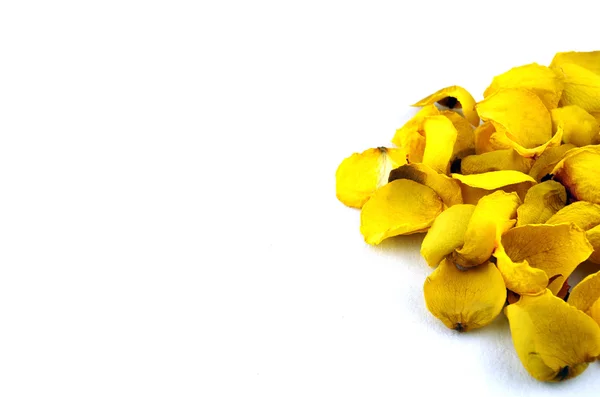 Kurutulmuş gül yaprakları