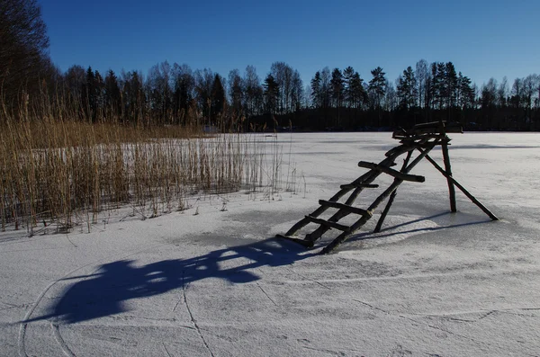 ahşap yaya köprüsü