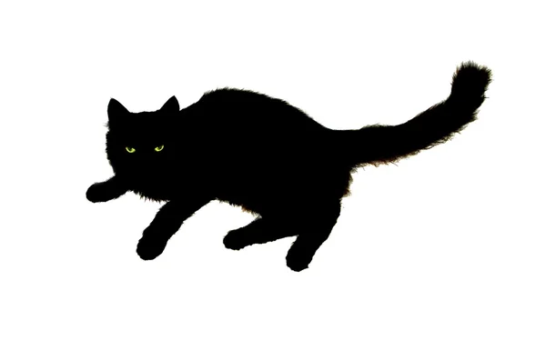 Black Cat — Stock Photo, Image