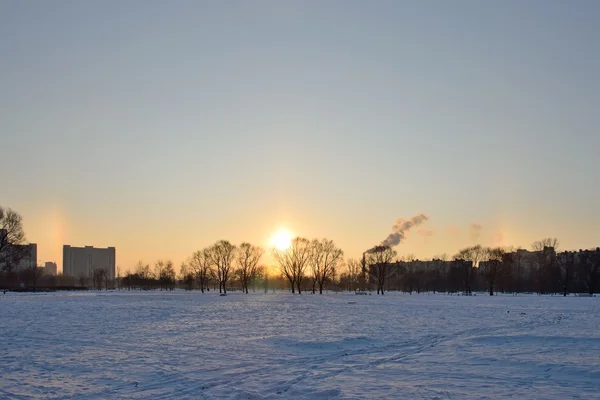 Halo (arco iris de invierno soleado) en el parque de invierno — Foto de Stock