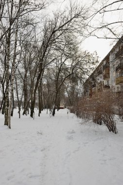Kışın karlı yard kare St Petersburg