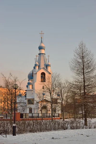 De kerk van de Geboortekerk in het Park Pulkovskaya — Stockfoto