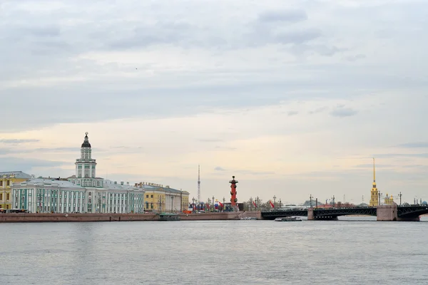 Neva Nehri, Kunstkamera, Rostral sütun ve th görüntüleyin
