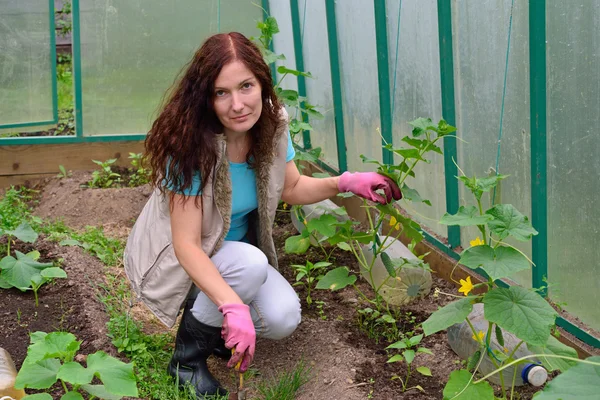 La chica con el pulgar verde pala tierra suelta en un invernadero — Foto de Stock