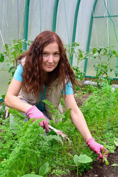 Niña jardinero sonríe y deshierbe zanahorias en una cama en un greenhous — Foto de Stock