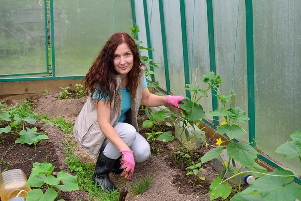 Dziewczyna z zielony kciuk koparki sypką ziemią w szklarni — Zdjęcie stockowe