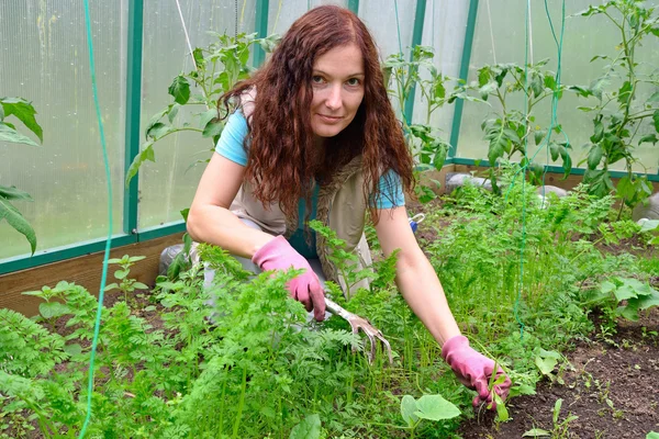 Niña jardinero sonríe y deshierbe zanahorias en una cama en greenhous — Foto de Stock