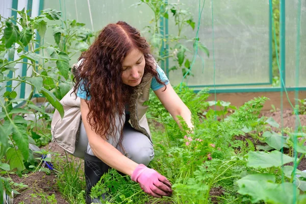 girl with the green thumb weeding carrots