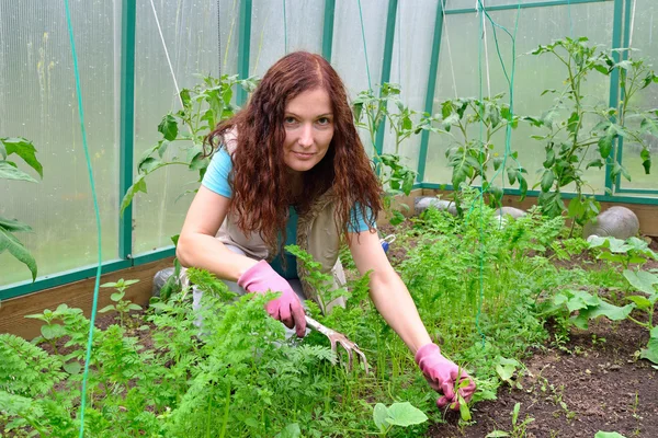 Garota jardineiro sorri e ervas daninhas cenouras em uma cama em greenhous — Fotografia de Stock
