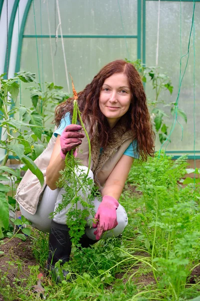 La chica con el pulgar verde y sigue sonriendo zanahorias jóvenes en — Foto de Stock