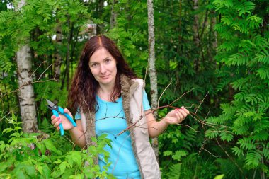 Kız bahçıvan gülümsüyor ve makası keser daldan Kuru 