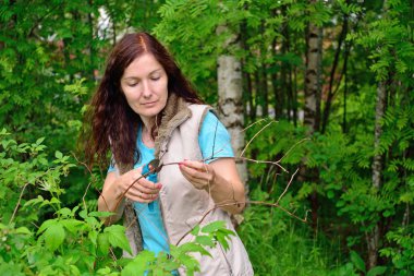 Yeşil başparmak kızla düşünceli kuru kesme makası