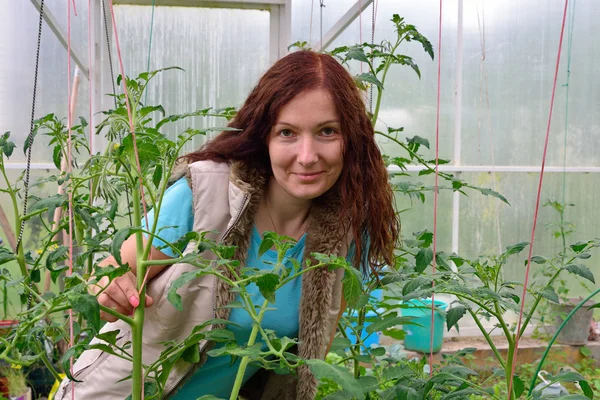 La chica con el pulgar verde entre los arbustos de tomates en th — Foto de Stock